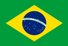 bandeira-brasil-conexion-34